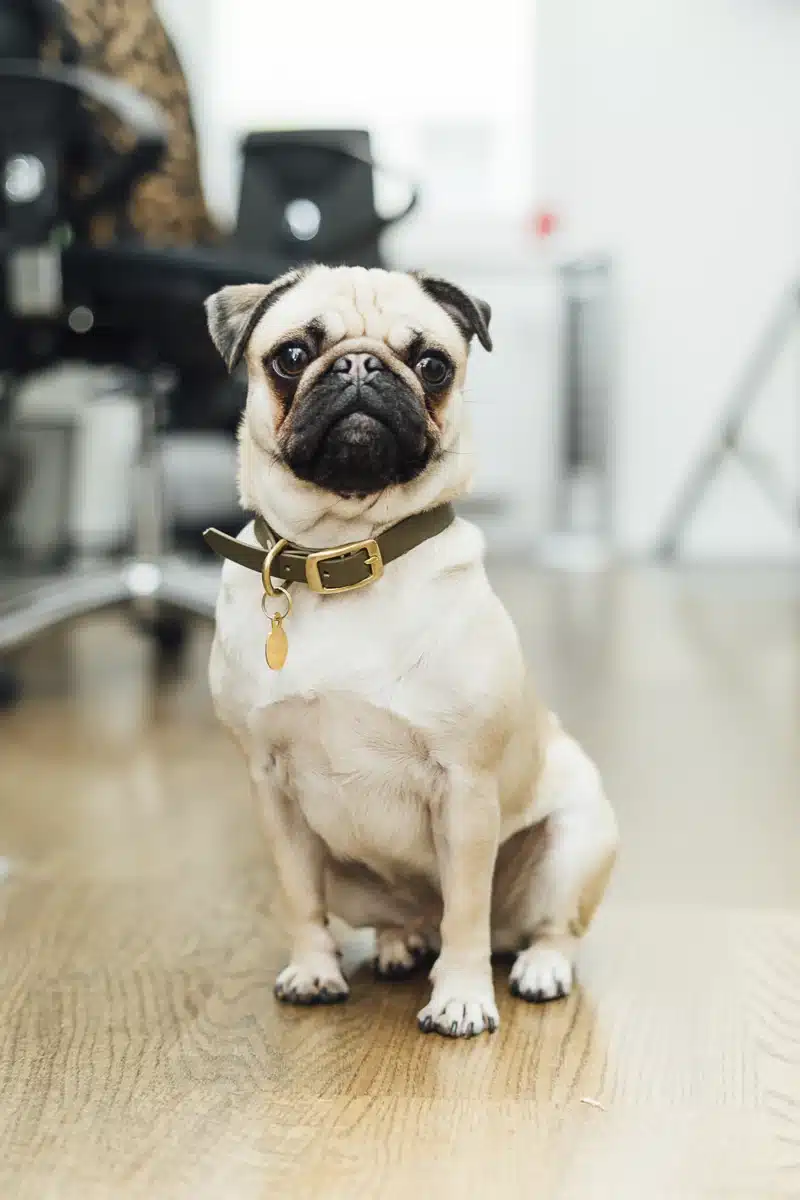 Ella – Feel-Good-Managerin bei UGC-VZ
